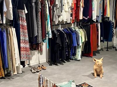 Second Fish - Second-Hand-Kleidung in Aargau