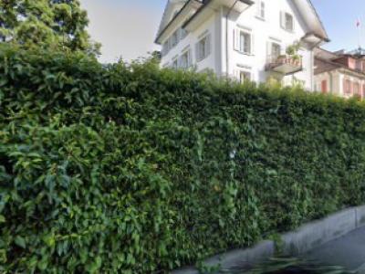 Damat Tween - Second-Hand-Kleidung in Luzern