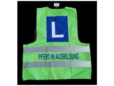 Buckexpress - Reparatur & Änderung in Aargau