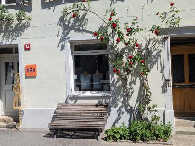 Boa Couture - Upcycling-Mode in Zürich