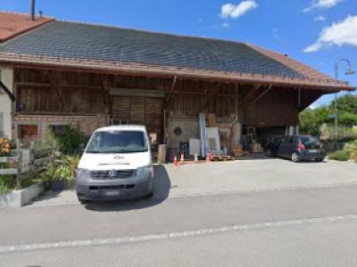 Dupont Paysage - Moda upcycled a Friborgo